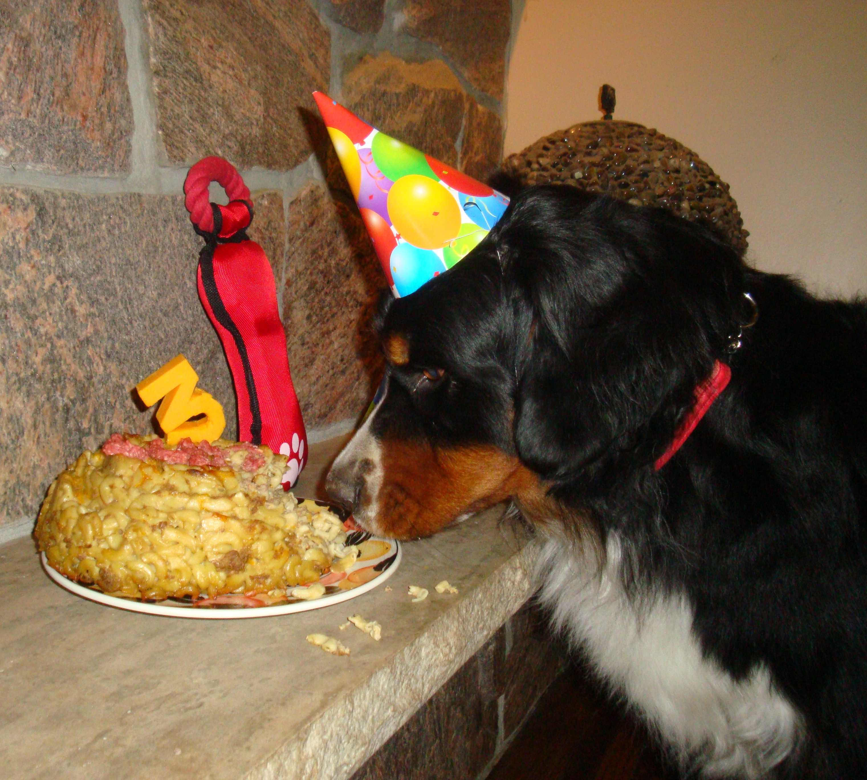 like the cake ? like the cake ?